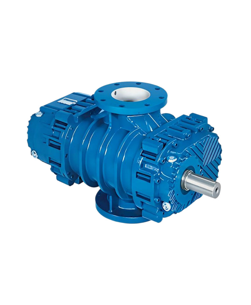 Roots Blower Pump