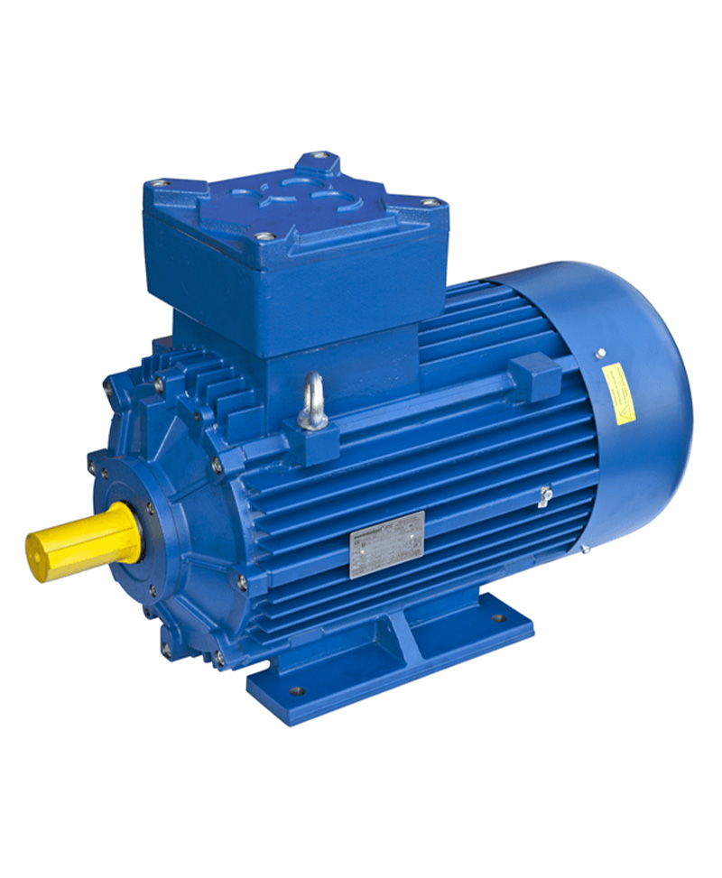 ATEX Series Motors